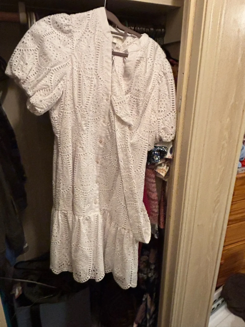 Lilly Pulitzer White Eyelet Puff-Sleeve Tie Mini Dress - Picture 8 of 8